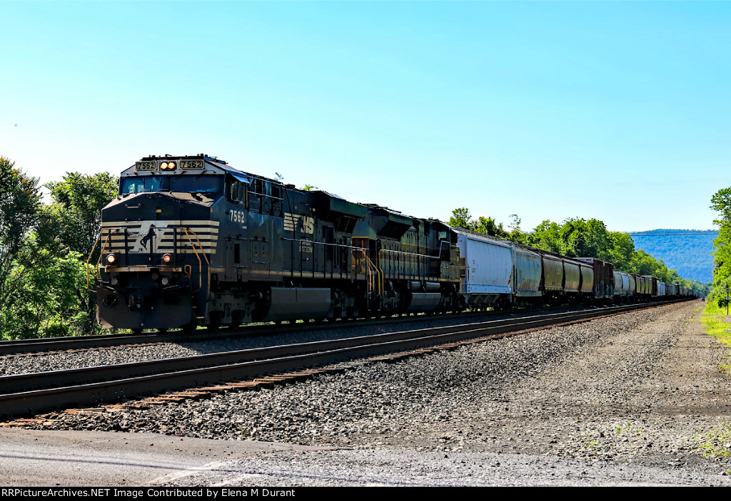 NS 7562